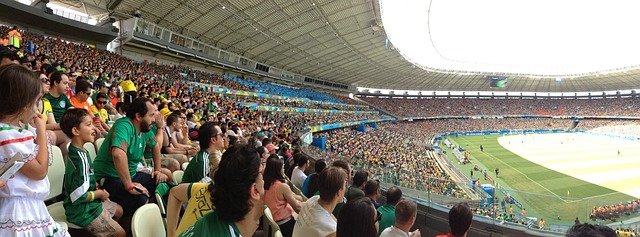 尼古拉